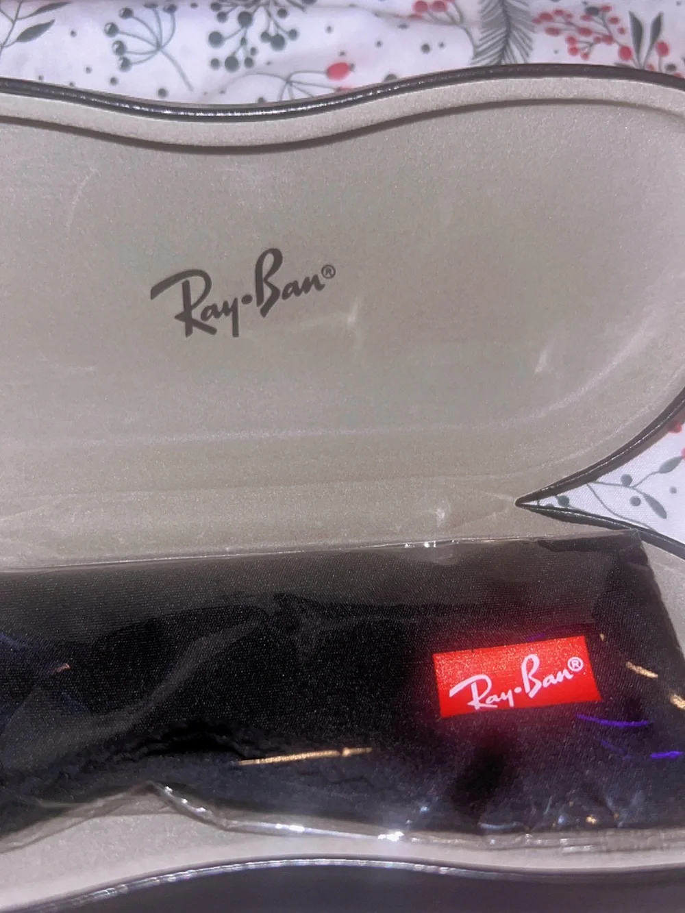 Ray-Ban Black Hard Sunglasses Case